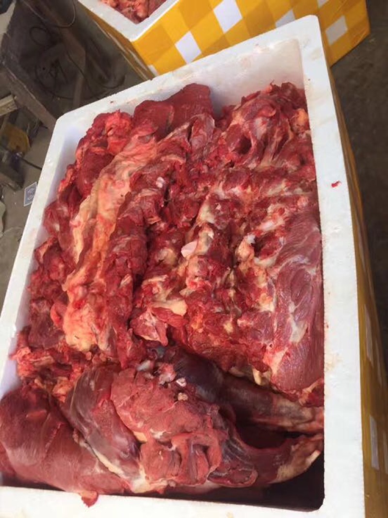 新鲜带皮驴肉全国发货上门屠宰质量保证