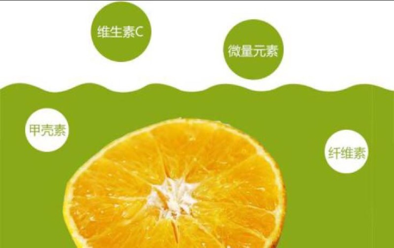 爱媛38号诚招代理承接各大电商平台一件代发业务