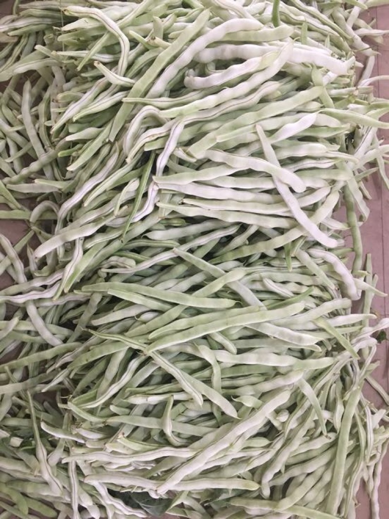 豆角，白豆角，芸豆，白大架，白芸豆。白不老