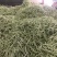 豆角，白豆角，芸豆，白大架，白芸豆。白不老
