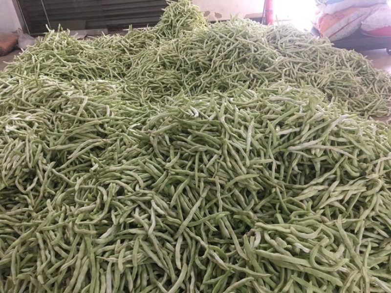 豆角，白豆角，芸豆，白大架，白芸豆。白不老