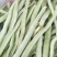 豆角，白豆角，芸豆，白大架，白芸豆。白不老