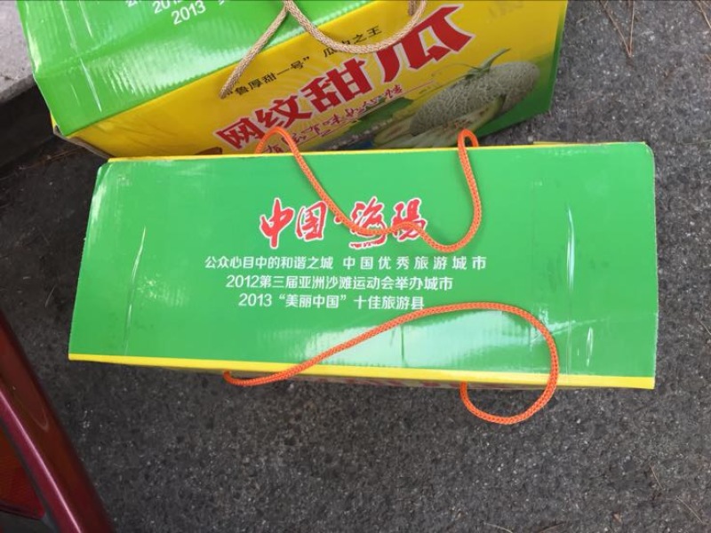 网纹瓜3斤以上长圆形