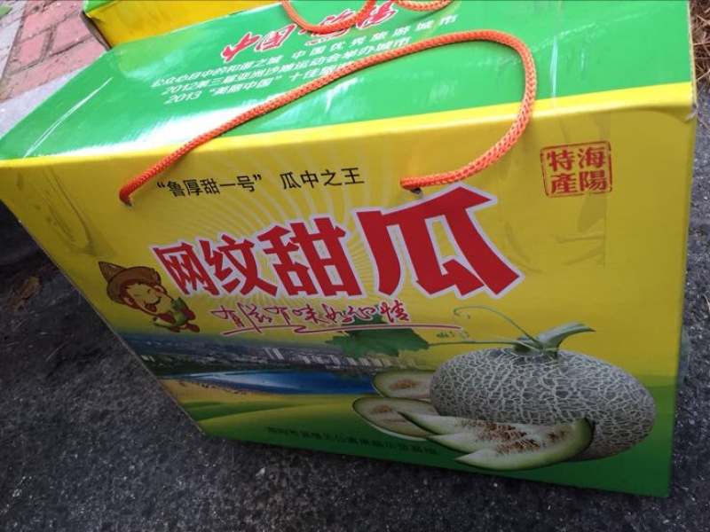 网纹瓜3斤以上长圆形