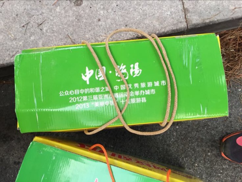 网纹瓜3斤以上长圆形