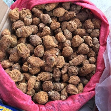 黑玛卡紫色