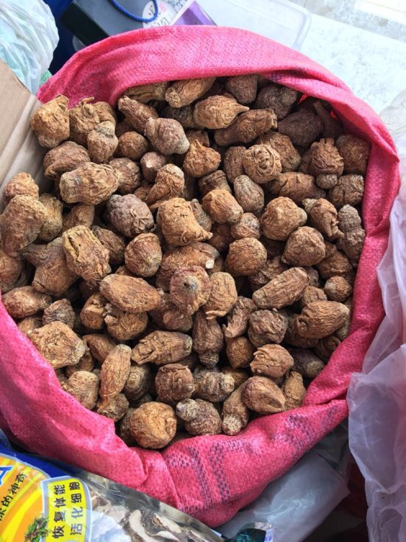 黑玛卡紫色