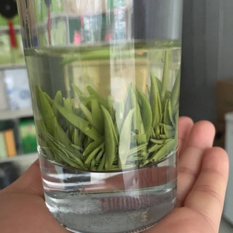 绿茶特级