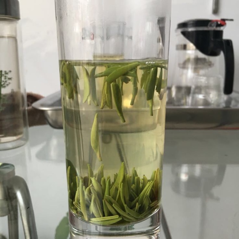 绿茶特级