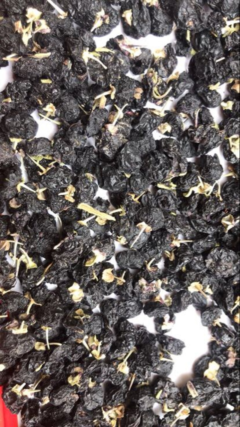 黑枸杞干货头茬