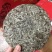 福鼎白茶特级