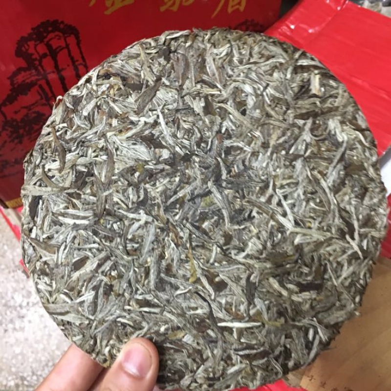 福鼎白茶特级
