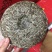 福鼎白茶特级