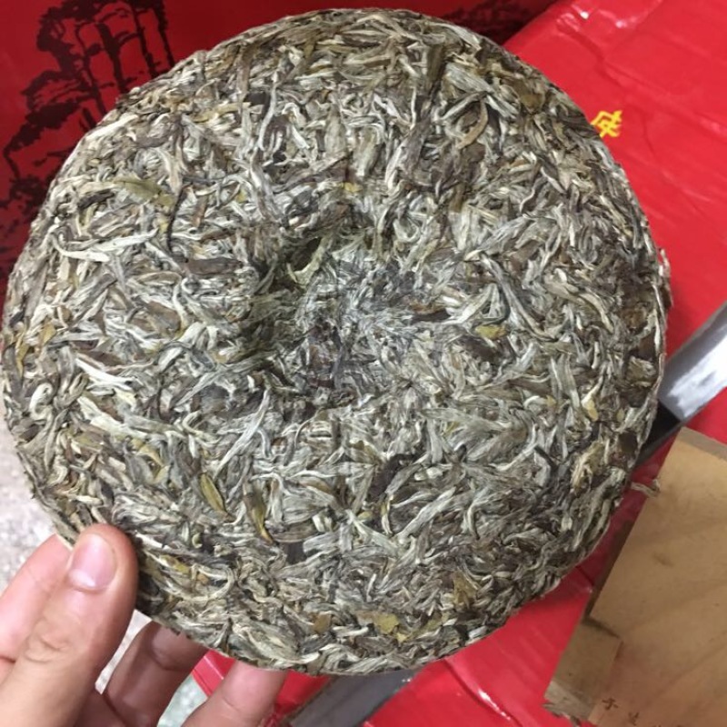 福鼎白茶特级