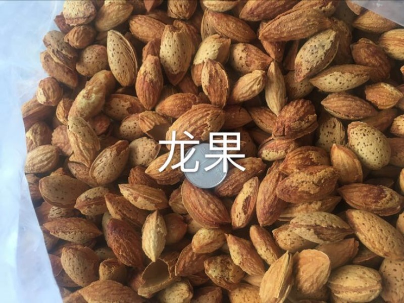 新疆纸皮巴旦木NP龙果刀果三种专业批发一件代发