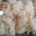 工厂直供新鲜绣球菌当天发货新鲜美味