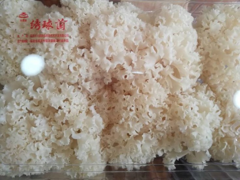 工厂直供新鲜绣球菌当天发货新鲜美味