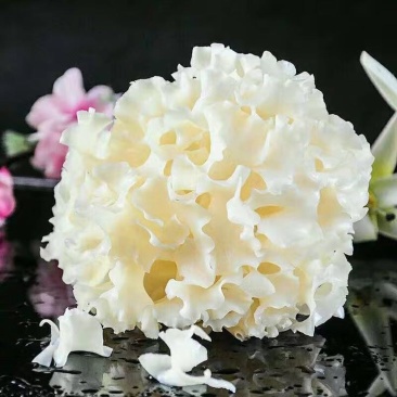 工厂直供新鲜绣球菌当天发货新鲜美味