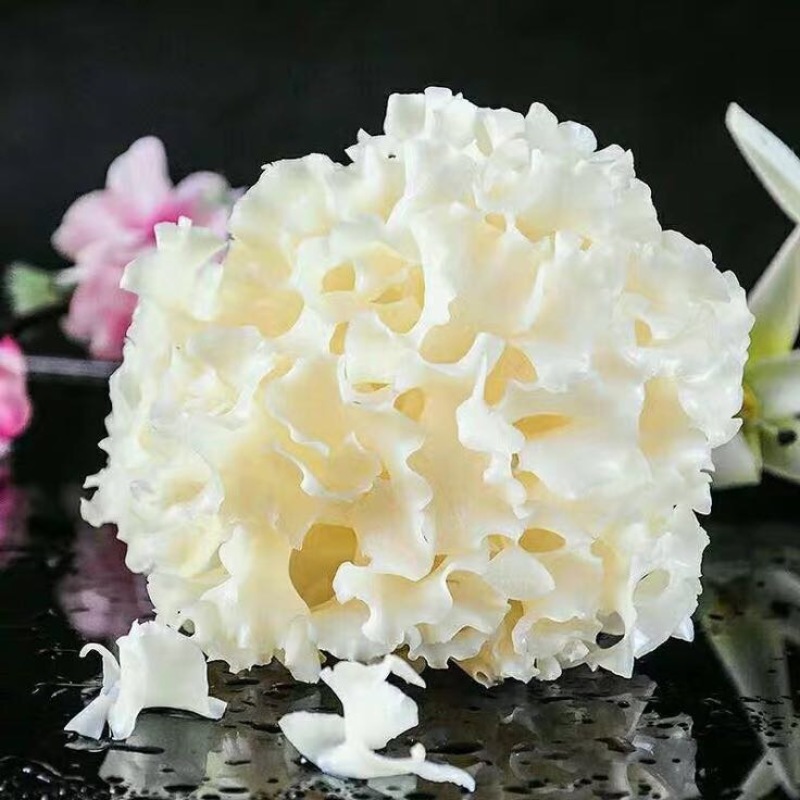 工厂直供新鲜绣球菌当天发货新鲜美味