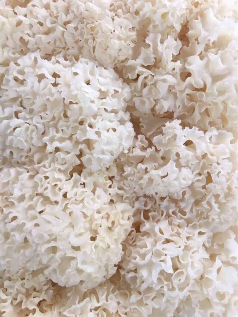 工厂直供新鲜绣球菌当天发货新鲜美味