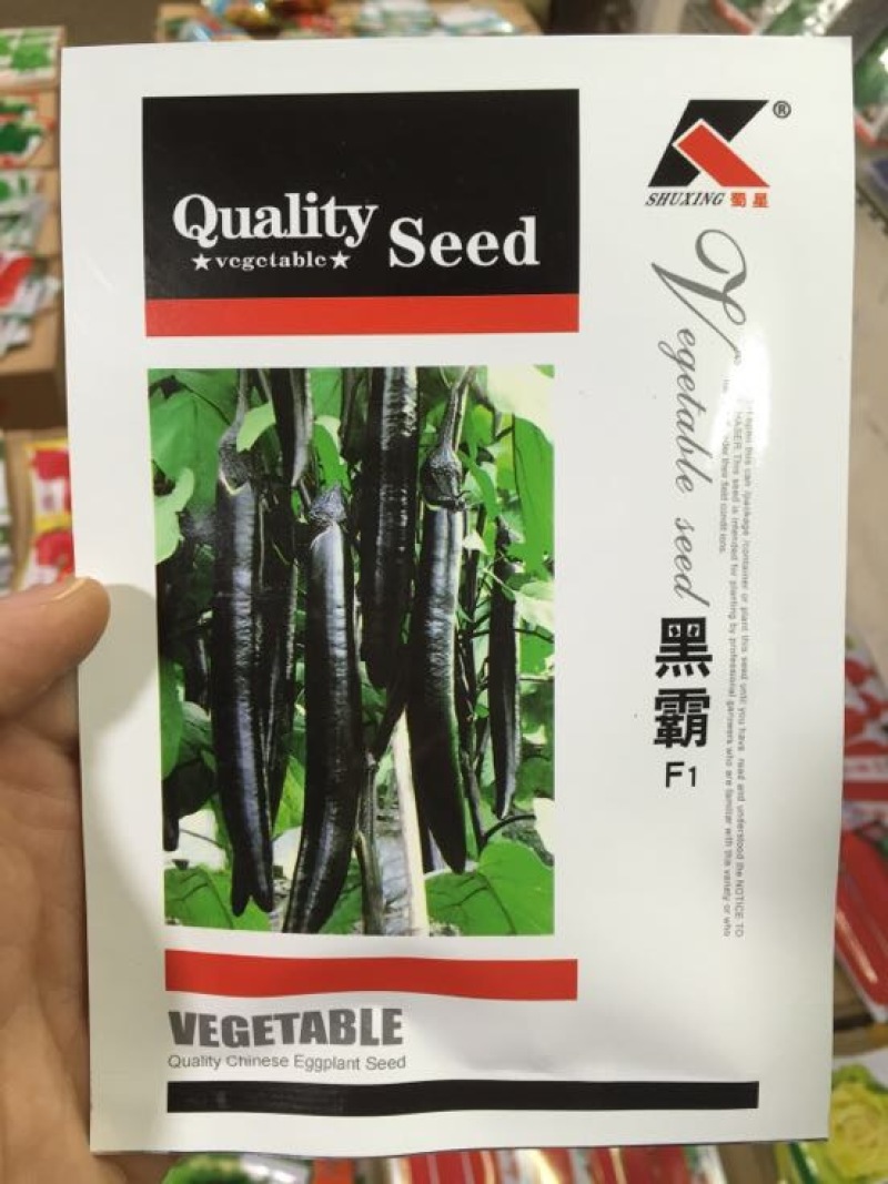 茄子种子