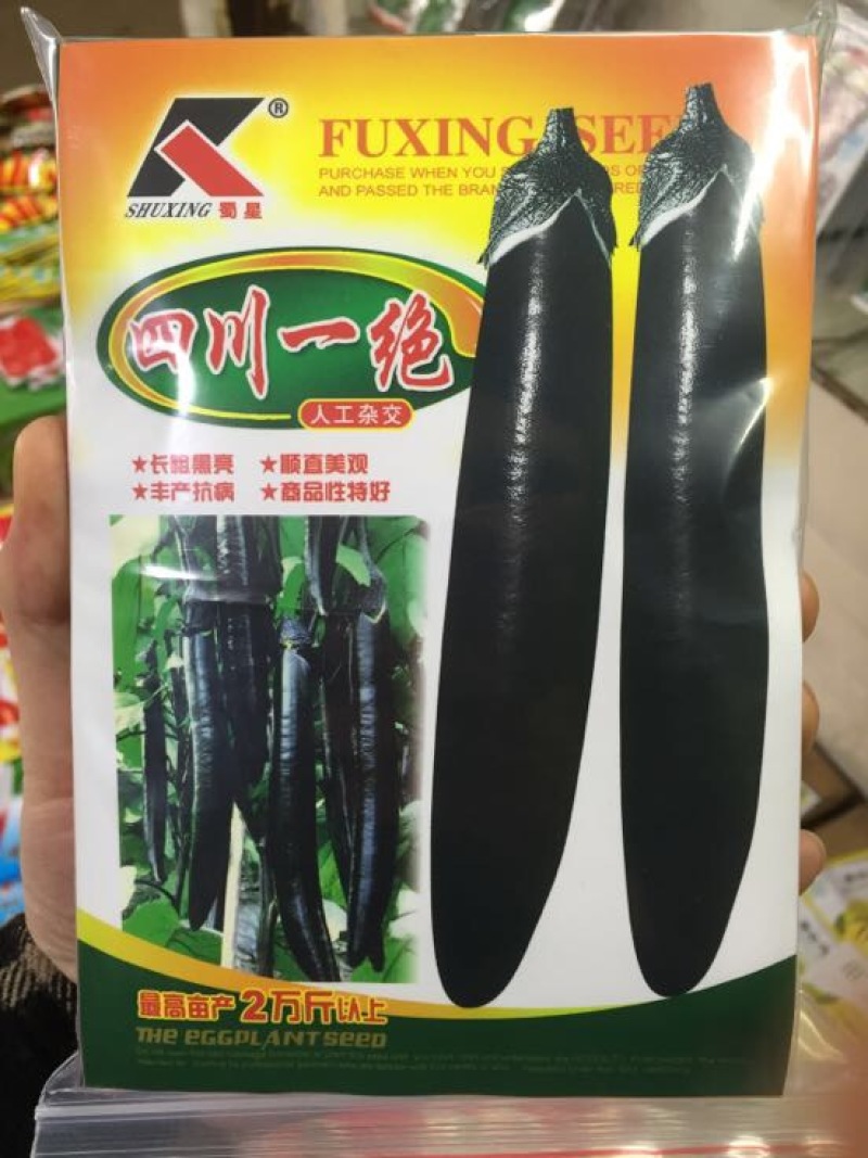茄子种子