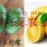 香水柠檬树苗50~80cm