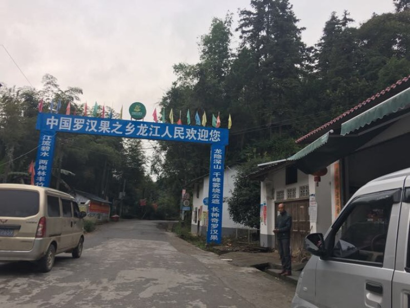 广西罗汉果大果鲜果大量有货欢迎采购咨询