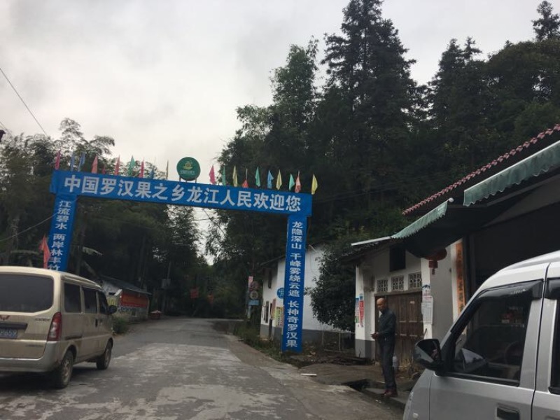 广西罗汉果大果鲜果大量有货欢迎采购咨询