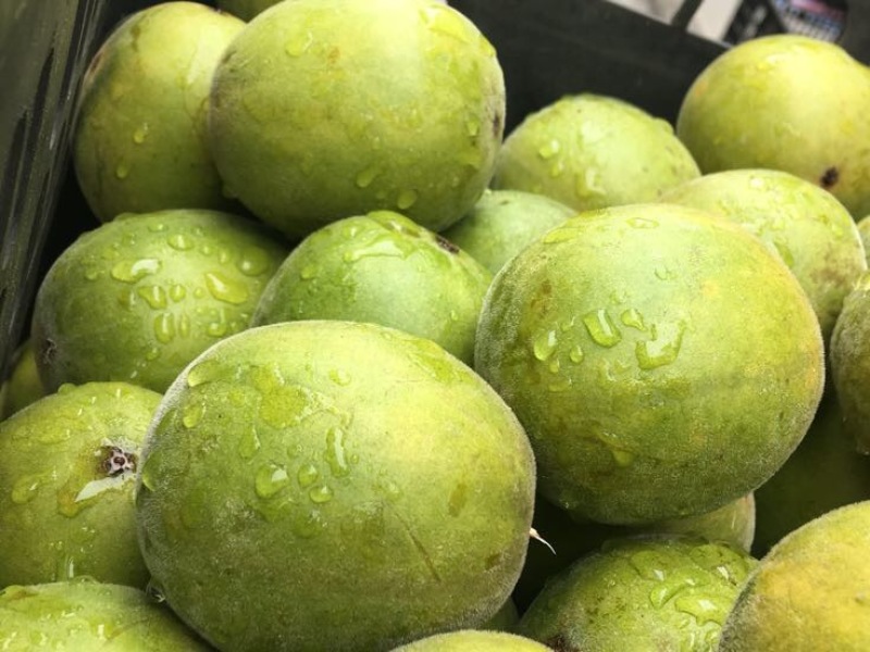 广西罗汉果大果鲜果大量有货欢迎采购咨询