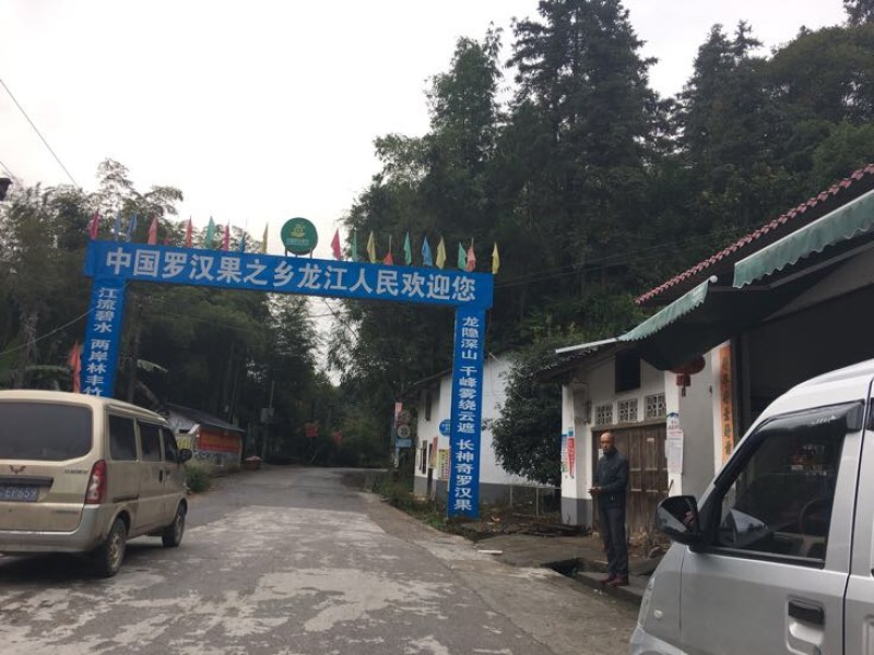 广西桂林罗汉果永福罗汉果大果鲜果大量有货欢迎咨询采购