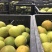 广西桂林罗汉果永福罗汉果大果鲜果大量有货欢迎咨询采购