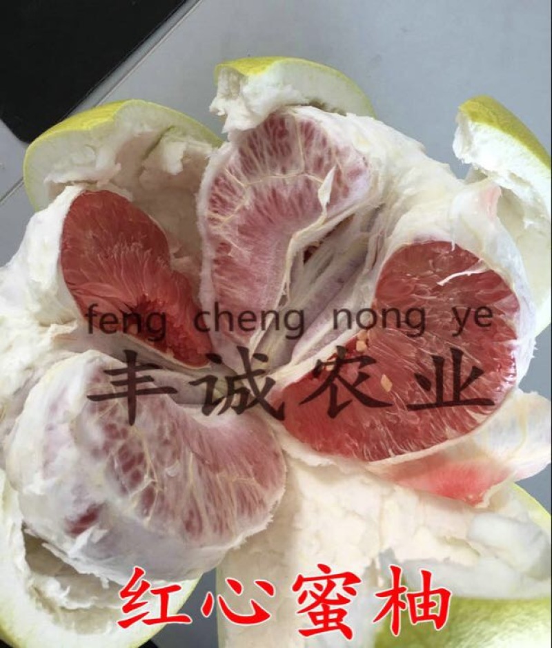 红心蜜柚苗0.5~0.8m0.8~1cm
