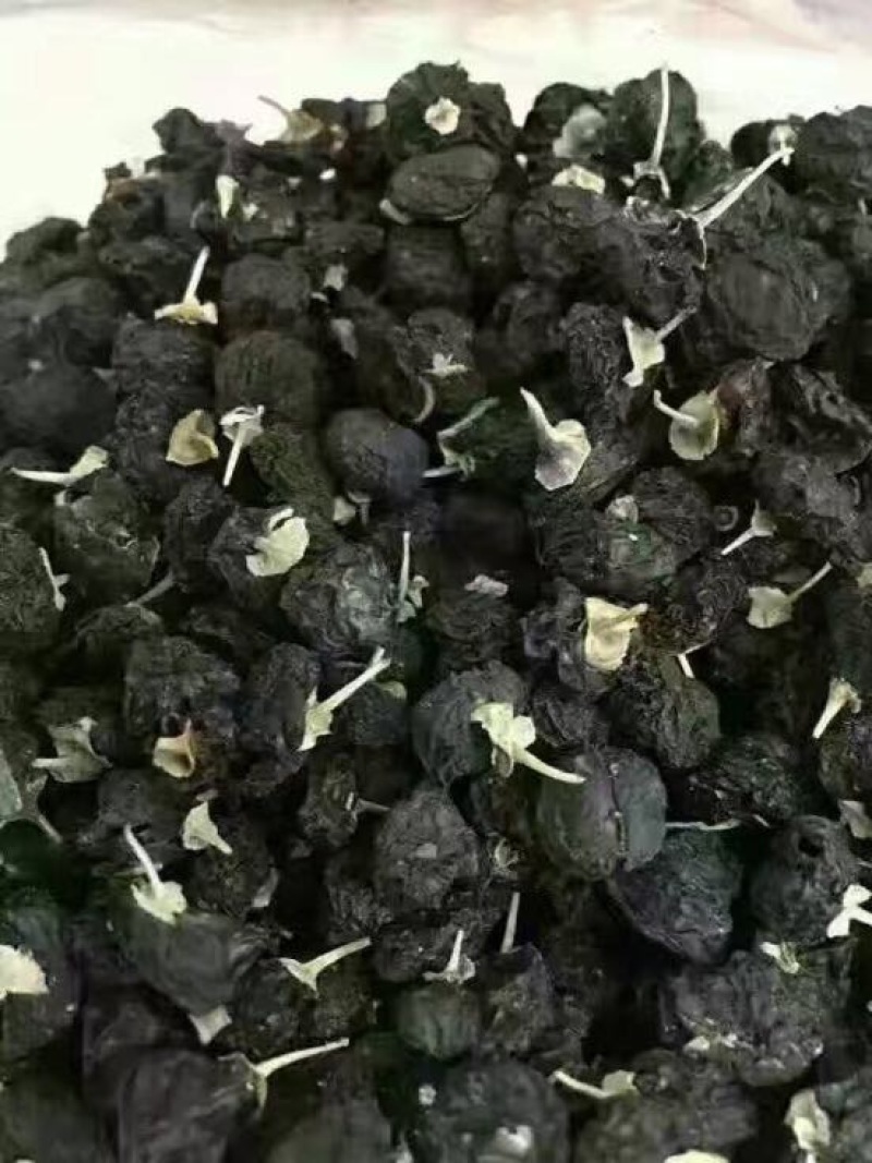 黑枸杞干货头茬