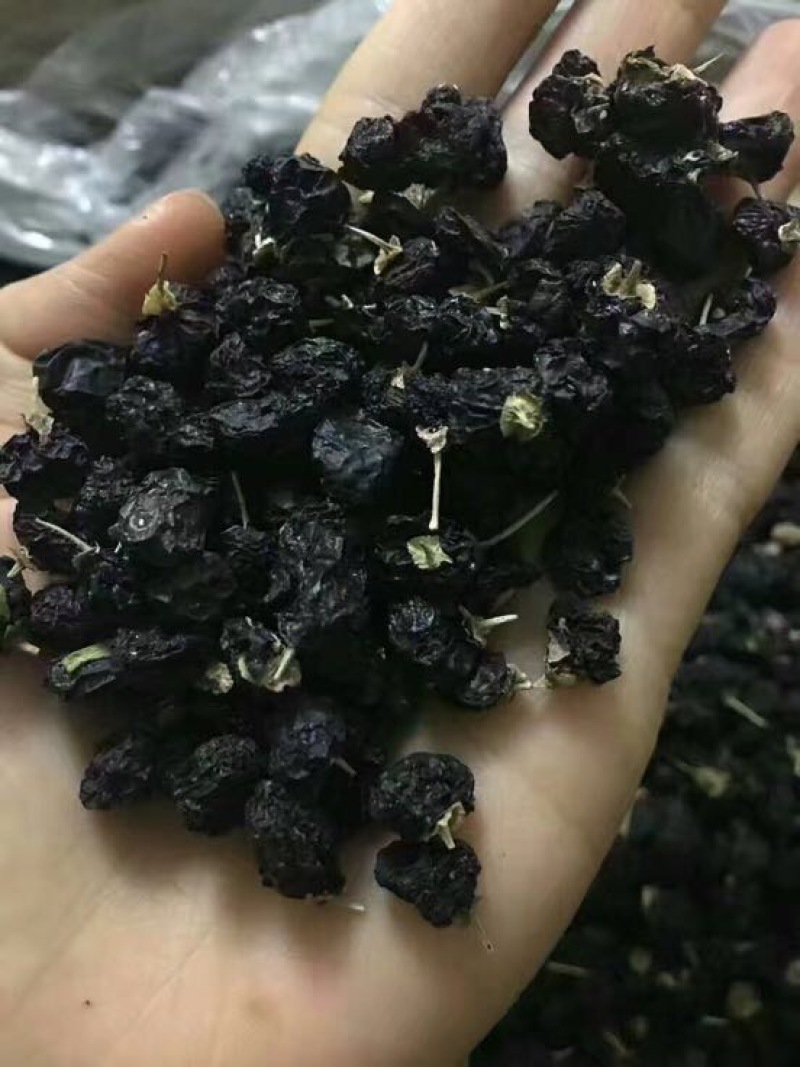 黑枸杞干货头茬