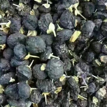 黑枸杞干货头茬