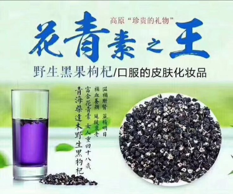 黑枸杞干货头茬