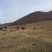 肉马400~500kg