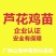 芦花鸡苗出壳苗35~45克雌