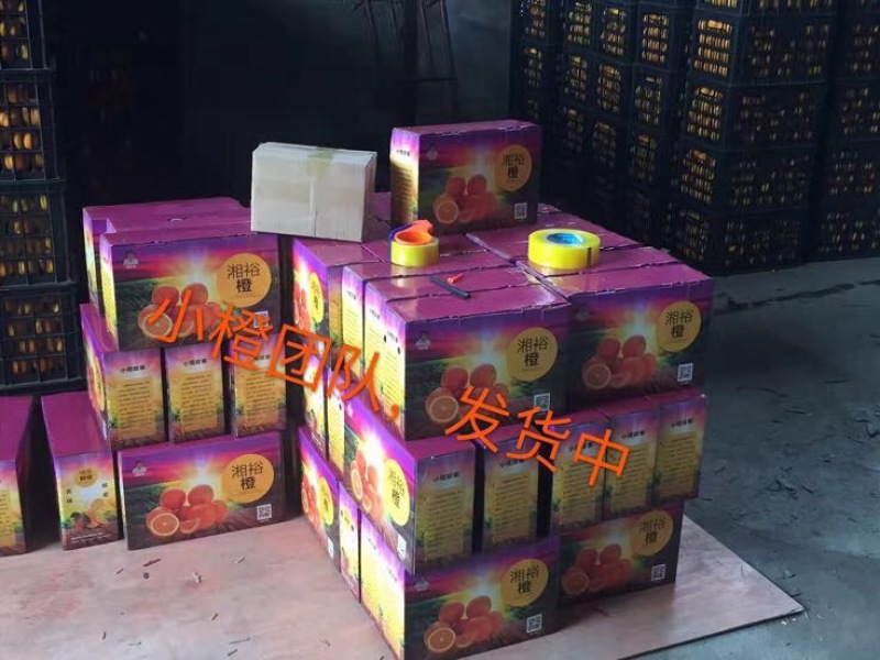 冰糖橙65mm以下
