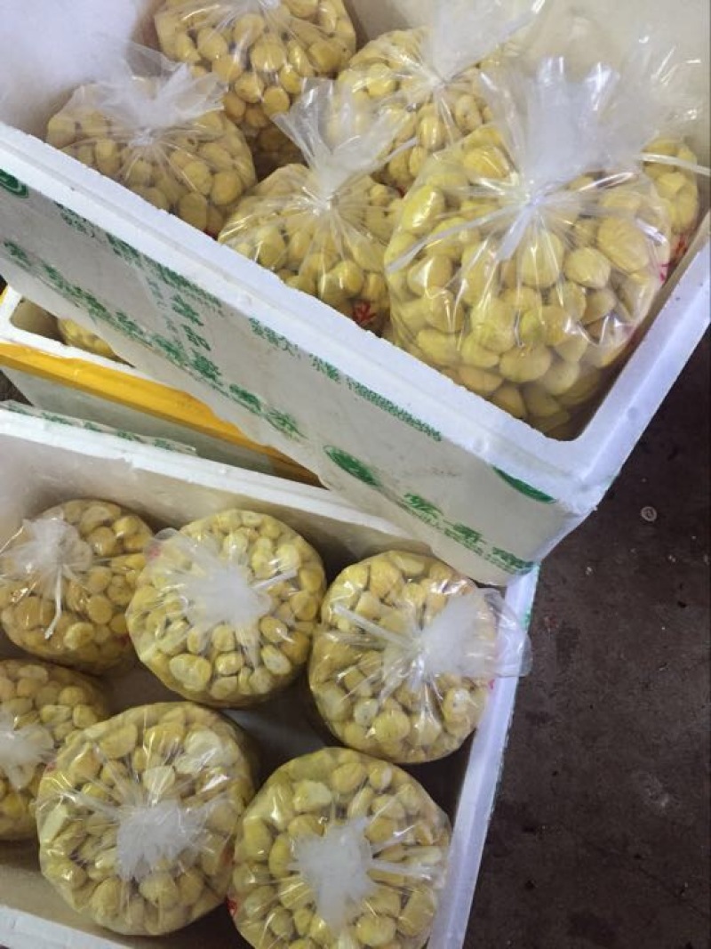板栗菜栗种真空板栗，社区团购、电商供货，一件代发