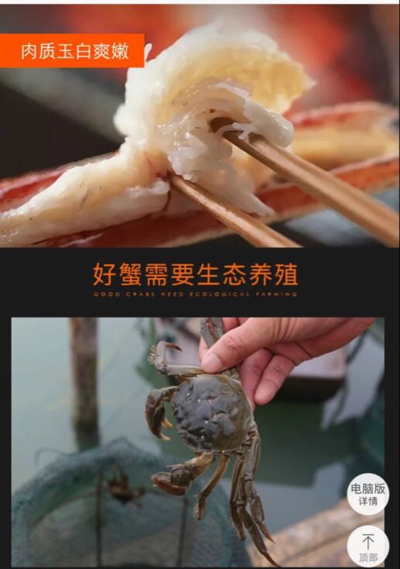精挑钢筋腿挑膏蟹母蟹
