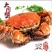 精挑钢筋腿挑膏蟹母蟹