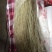 红薯粉条中粉