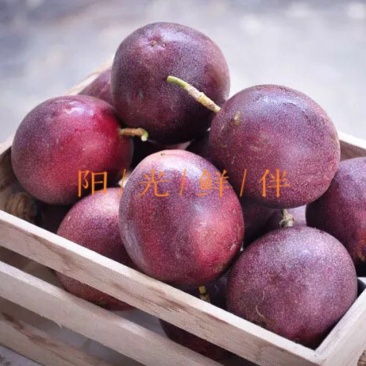 百香果90~100g紫果