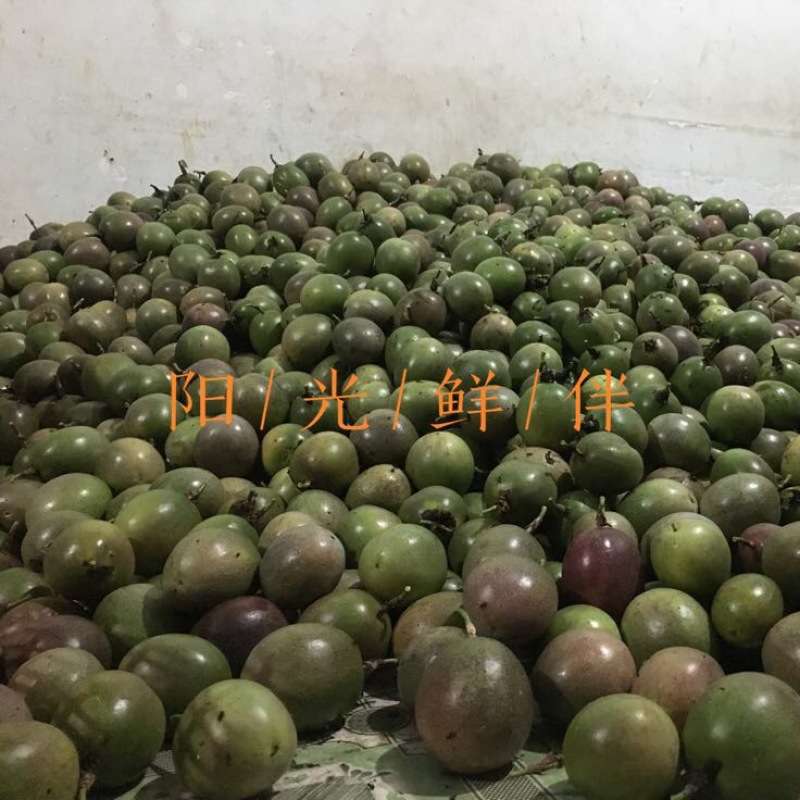 百香果90~100g紫果