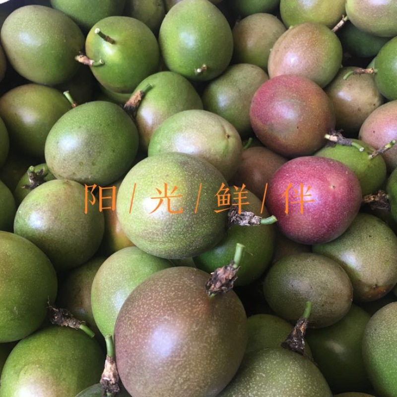 百香果90~100g紫果