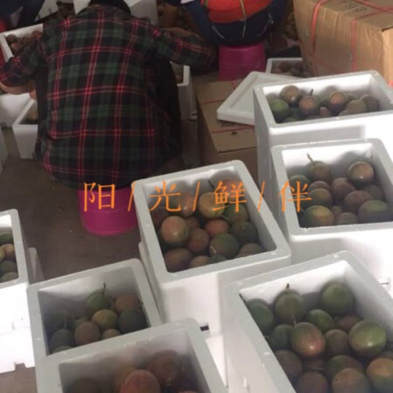 百香果90~100g紫果