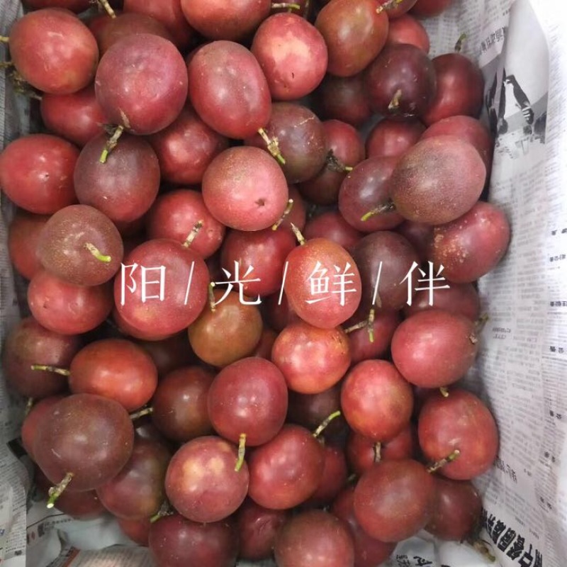 百香果90~100g紫果