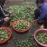 百香果90~100g紫果